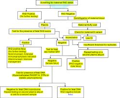 General Flow Chart Depicting The Common Steps Involved In