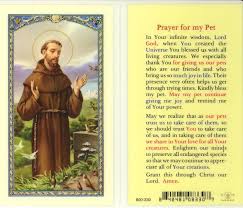 28,046 likes · 2,033 talking about this. Saint Francis Prayer For Pets Sick Pets Prayer For Sick Dog Sick Dog