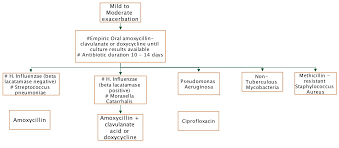 Medications For Bronchiectasis Bronchiectasis