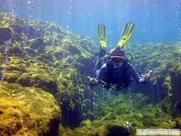Scotts head beach & soufriere bay Dominica Diving In Volcanic Bubbles At Champagne Reef Dive O Clock