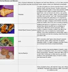 Normal Poop Diagram Catalogue Of Schemas