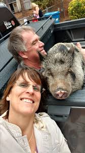 Janis Clemmons Obituary (2017)