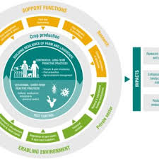 This position reports to the region vice president. Pdf Climate Smart Pest Management Building Resilience Of Farms And Landscapes To Changing Pest Threats