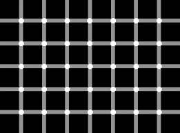 There Are Only White Circles At The Intersections Optical Illusions Illusions Cool Optical Illusions