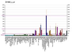 Recombinant tissue plasminogen activators (rtpas) are used in patients with ais, ami, and pe to treat thrombus. Tissue Plasminogen Activator Wikipedia