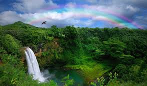 həˈvɐjʔi, anglicized hawaii / h ə ˈ w aɪ. Hawaii Holidays 2021 2022 Trailfinders