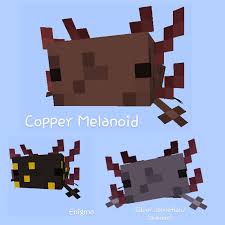 An axolotl is an aquatic passive mob towards players but it attacks most other underwater mobs. Realistic Axolotl Morphs 1 18 1 17 1 1 17 1 16 5 1 16 4 Forge Fabric 1 15 2 Packs Minecraft