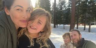 Who is Brie Bella's husband, Daniel Bryan?