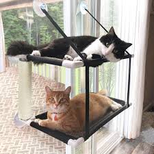 Check spelling or type a new query. Buy Cat Window Perch With Single Scratching Post Double Layers Cat Hammock For Window Large Cat Window Seat For 2 Cats Holds Up To 60 Lbs Cat Window Hammock For Indoor Cats