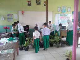 Strategi dan metode pembelajaran yang. Hindari Kebosanan Siswa Buat Taman Dalam Kelas