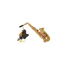 Buy vandoren hygro reed case for clarinet, soprano or alto sax hrc10 at desertcart. Wiseman Taurus Saxophone Package