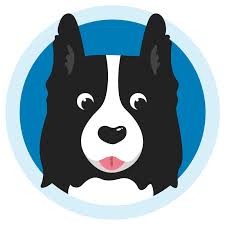 Best dog puzzle toys for border collies. The Best Dog Toys For Border Collies