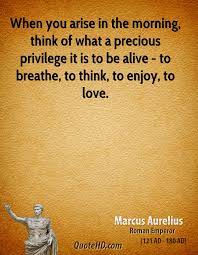 Whenyou Arise Marcus Aurelius Quotes Quotesgram