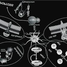 We would like to show you a description here but the site won't allow us. Dano Axonal Y Esclerosis Multiple Download Scientific Diagram