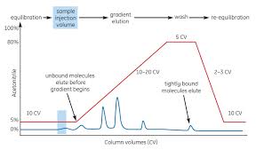 Ion Pair Chromatography - An Overview | Sciencedirect Topics