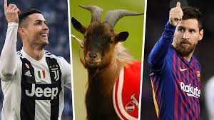 The domestic goat or simply goat (capra aegagrus hircus) is a subspecies of c. What Is A Goat In Football Lionel Messi Vs Cristiano Ronaldo The Greatest Players Of All Time Goal Com