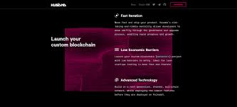 The ksm cryptocurrency plays a key role in maintaining and operating the kusama network. Kusama Ksm Price Prediction 2021 2022 Future Ksm Price