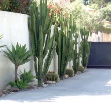 Pieri Jardins Creation Jardin Contemporain Amenagement De Jardins Var Sanary Six Fours Bandol Amenagement Jardin Jardin Contemporain Amenagement Jardinet