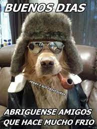 Pin De Pedro Ulloa En Mensajitos Memes Divertidos Sobre El Viernes Buenos Dias Perros Memes De Viernes