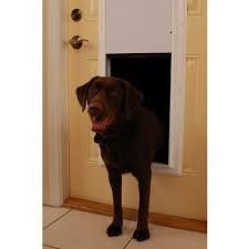professional pet supplies products accessories and equipment online dog door pet doors automatic dog door