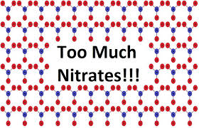 Blog How To Lower Nitrates In A Saltwater Reef Or Fish Only Aquarium Glass Aquatics