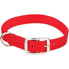 Includes long and short/standard contact points plus replacement pieces for your pet's fence receiver collar. Collars Tags Almandoz Hardware Ltd