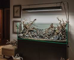 Simonsaquascapeblog Aquascape Fish Aquarium Decorations Nature Aquarium