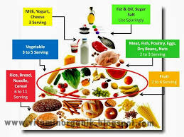 Dari produsen sampai konsumen puncak dalam suatu ekosistem. Pemakanan Sihat Ibu Mengandung Vitaminorganik Com