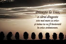Parcă e nevoie de tragedii să ne. Versete De Incurajare In Suferinta