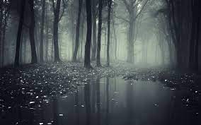 46 Creepy Forest Wallpaper On Wallpapersafari 1023 x 678 jpeg 69 kb. creepy forest wallpaper on wallpapersafari