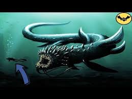 Top 5 Most Scariest Facts About The Ocean Youtube In 2020 Scary Facts Scary Ocean Weird Sea Creatures