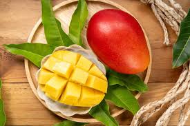 Image result for Mangifera