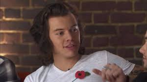 Harry Styles Sick Interview