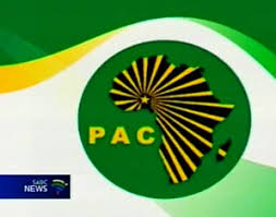 Image result for Pan Africanist Congress party LOGO