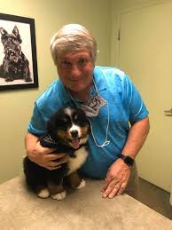 Because above all, we are passionate animal lovers. Allpets Animal Hospital Home Facebook