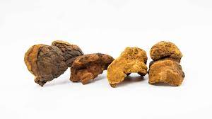 Hetland g, johnson e, lyberg t, bernardshaw s, tryggestad a.m, grinde b. Everything You Need To Know About Meshima Aka Phellinus Freshcap Mushrooms