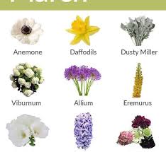 Common kinds of flowers with name and picture. 9 Flowers To Look Forward To In March Blooms By The Box