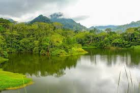 La vida de pedro edgardo. Panacam Day Tour From San Pedro Sula Marriott