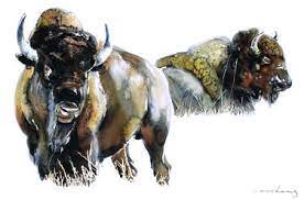 We can follow live feeds of the nests of rare birds. Animal Drawings For Sale Saatchi Art