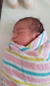 Biology Newsletter Friday April 12, 2019