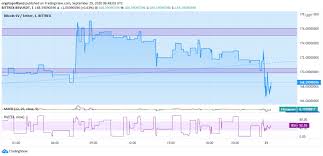This would result in a price per coin of about $140,000. Bitcoin Sv Price Prediction Bsv Price Consolidating Below 170 What To Expect