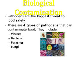 Chemical elements and compounds) or groups of substances that are toxic, persistent and liable to bioaccumulate, and other substances or groups of the definition of contamination is something that contaminates (causes an impurity) or is somethin. Keeping Food Safe