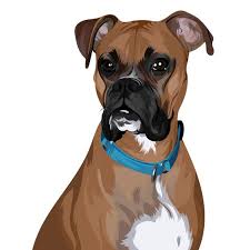 Boxer Dog Illustrations Boxer Dog Art Custom Pet Commissions Vector Pets Art Only 10 Dog Illustration Boxer Dogs Art Dog Artwork