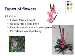 Check spelling or type a new query. 2 16 Types Of Flowers