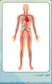 stop العلم الجهاز الدوران facebook