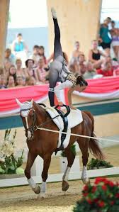 Pin On Horse Pictures