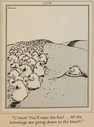 The Far Side By Gary Larson Always Wondered Whether Or Not People Understood The Infamous Lemming Far Side Cartoons Funny Cartoon Memes Gary Larson Cartoons