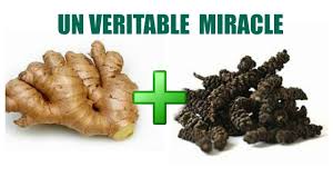 Melangez Gingembre Et Poivre Un Vrai Miracle De Dieu Youtube Food Herbs