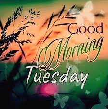 Wed, aug 4, 2021, 4:00pm edt á… Top 29 Good Morning Tuesday Images Pictures Photos
