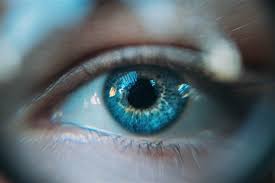 Or, as some people, especially academics prefer, beauty is in the culturally conditioned eye of the beholder. What Does Beauty Is In The Eye Of The Beholder Mean